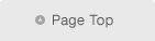 Page Top